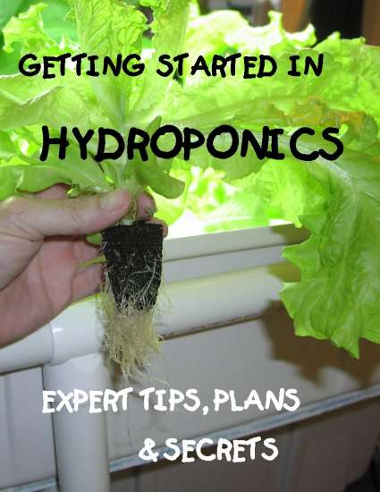 hydroponics how to